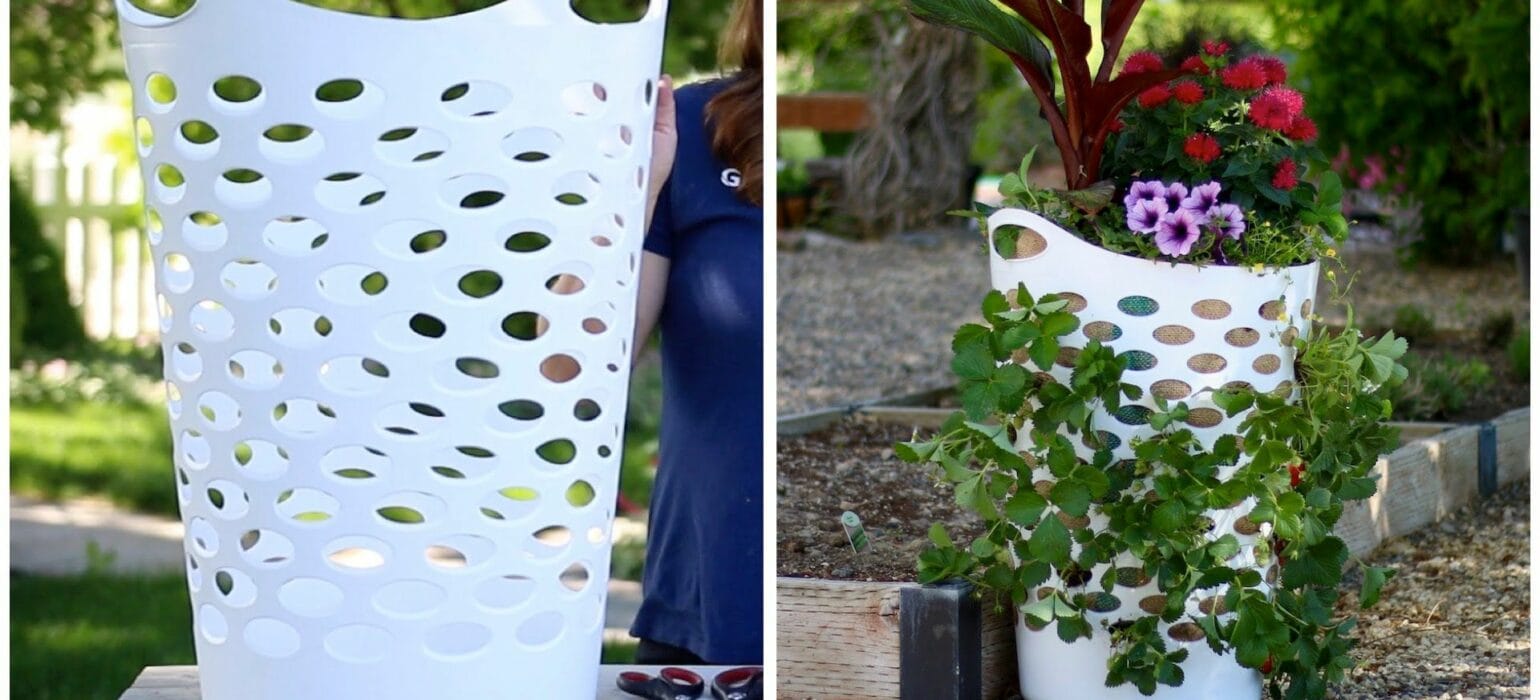 DIY Gardening Hacks That Will Take Your Garden to the Next Level