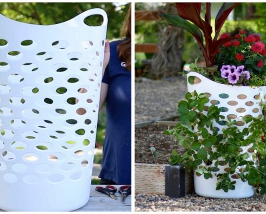DIY Gardening Hacks That Will Take Your Garden to the Next Level