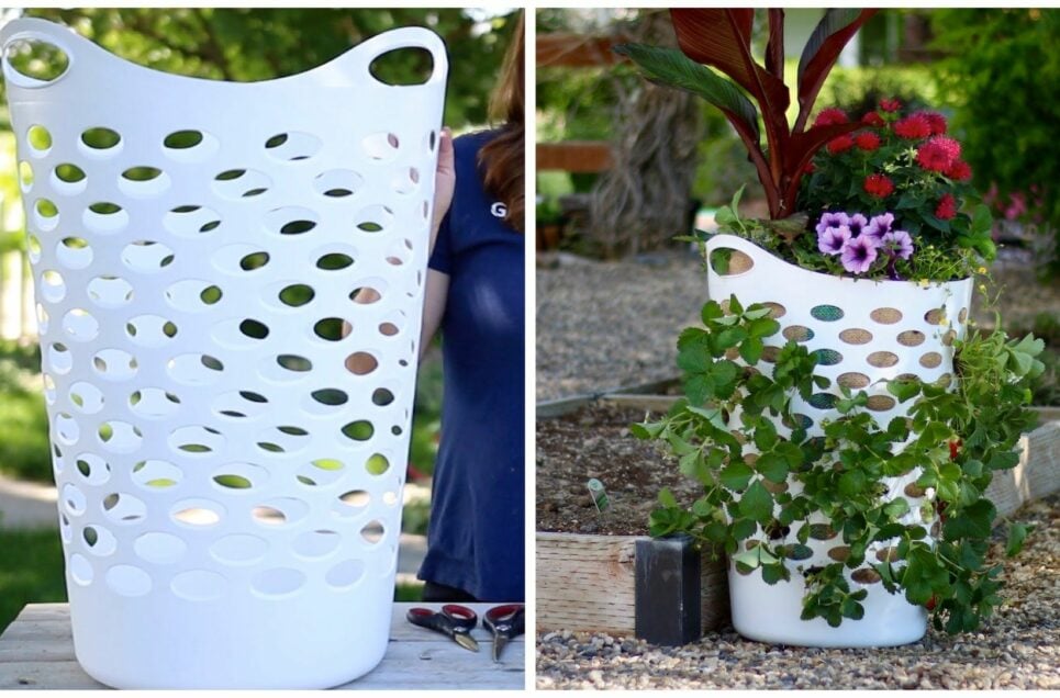 DIY Gardening Hacks That Will Take Your Garden to the Next Level