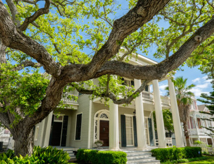 Historical Figures Homes You Could Actually Live In