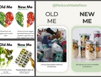 Trash Be Gone: Simple Secrets to Reduce Your Waste
