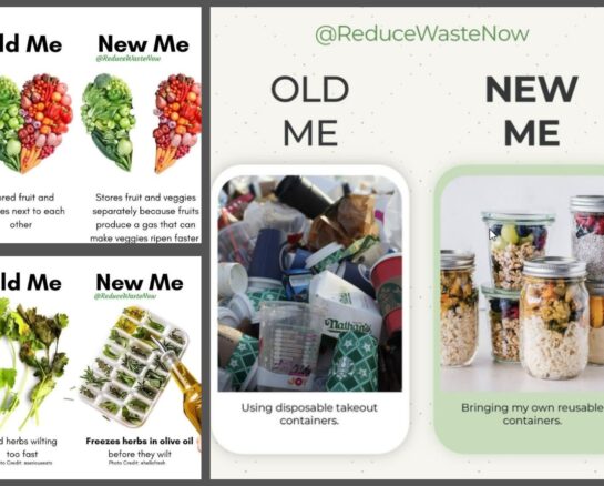 Trash Be Gone: Simple Secrets to Reduce Your Waste