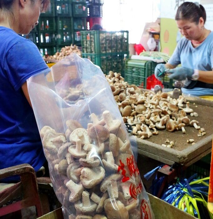 The Dark Side of Chinese Food: Startling Discoveries About Familiar Ingredients