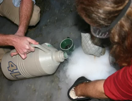 Fun & Boozy Science Experiments You Can Do At Home