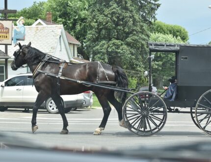 Amish Cleaning Hacks We Can’t Live Without