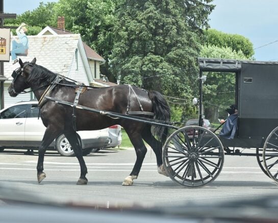 Amish Cleaning Hacks We Can’t Live Without