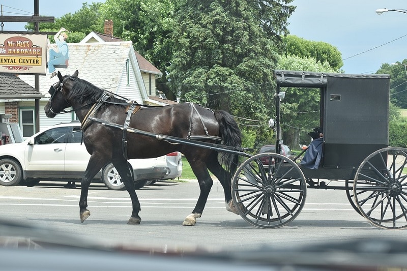 Amish Cleaning Hacks We Can’t Live Without