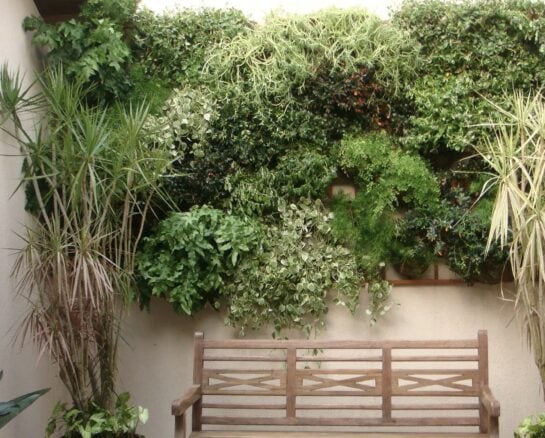 Vertical Garden Ideas That Will Take Your Plants To The Next Level