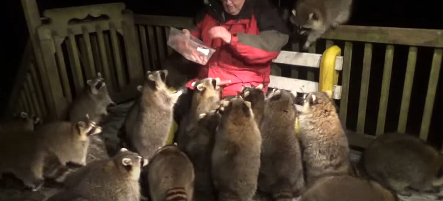 Terrible Home & Life Habits That Are Harming The Wildlife Around You