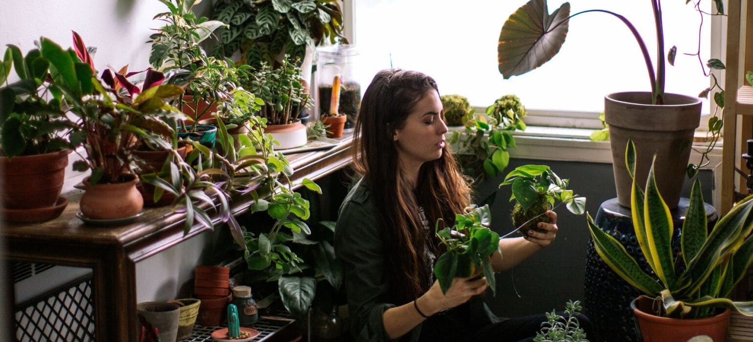 Houseplant Tips For People With Even The Blackest Thumbs