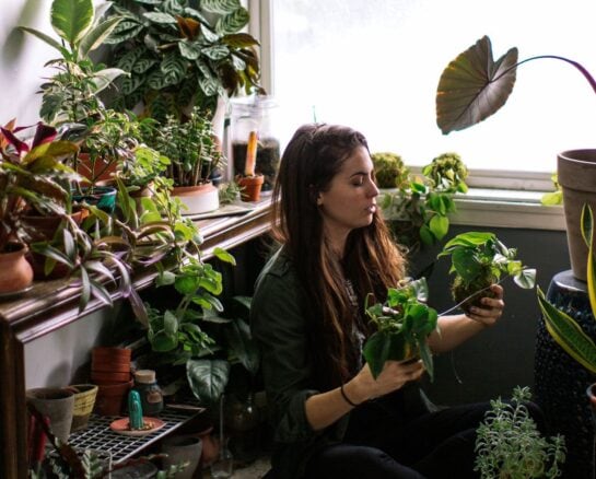 Houseplant Tips For People With Even The Blackest Thumbs