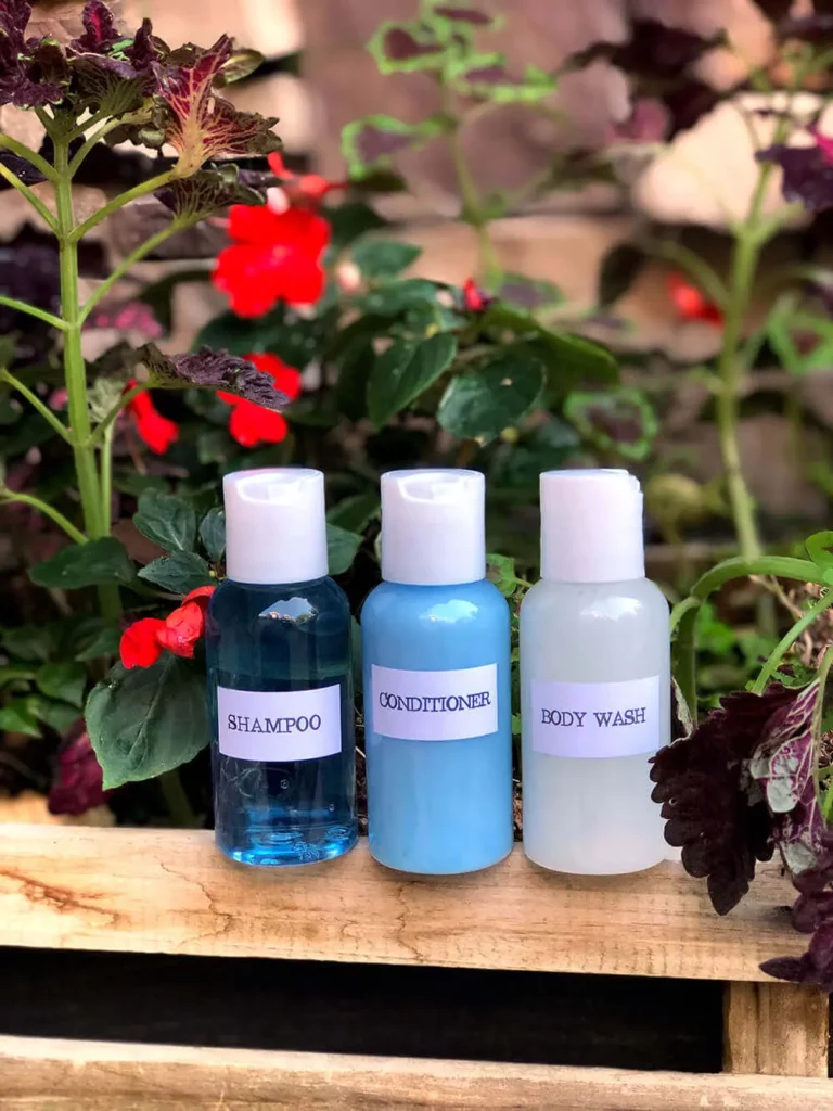 Diy Travel Size Unused Hotel Toiletries Homeless Shelters Partieswithacause.com Travel With A Cause