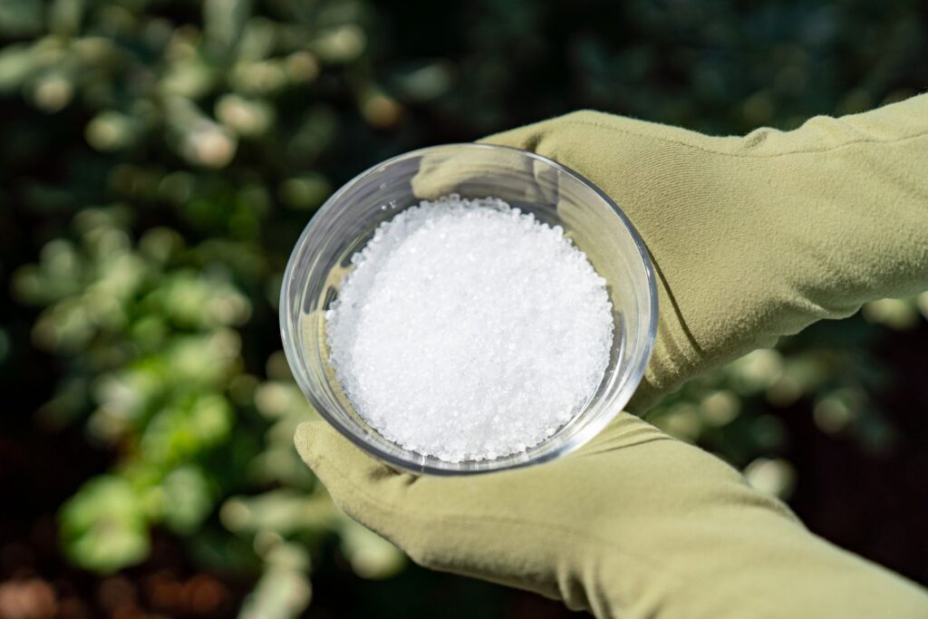 Epsom Salts And Plants 1402754 Hero 01 90533d20d2c24bff91e7a45c0ae538e5