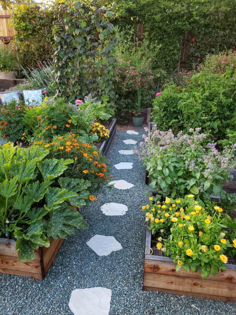 Garden Companion Planting Benefits Feature