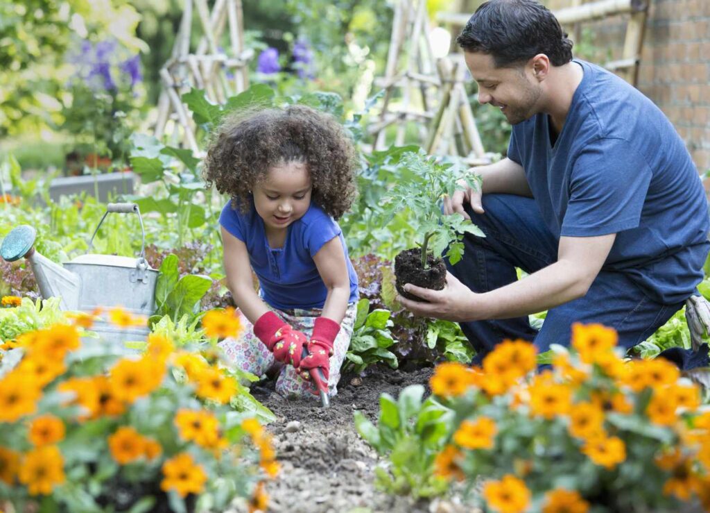 Hispanic Father And Daughter Gardening Together 463247401 58a390123df78c475830f5f5