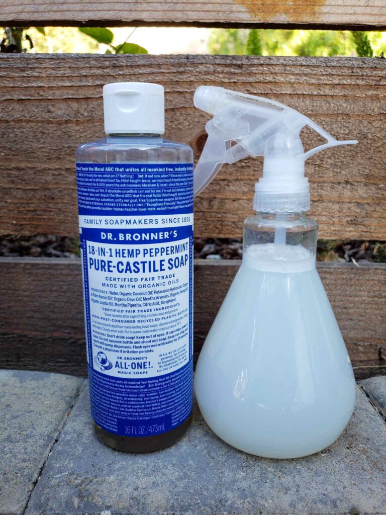 Homemade Insect Soap Spray Recipe Drbronners Castile Bottle