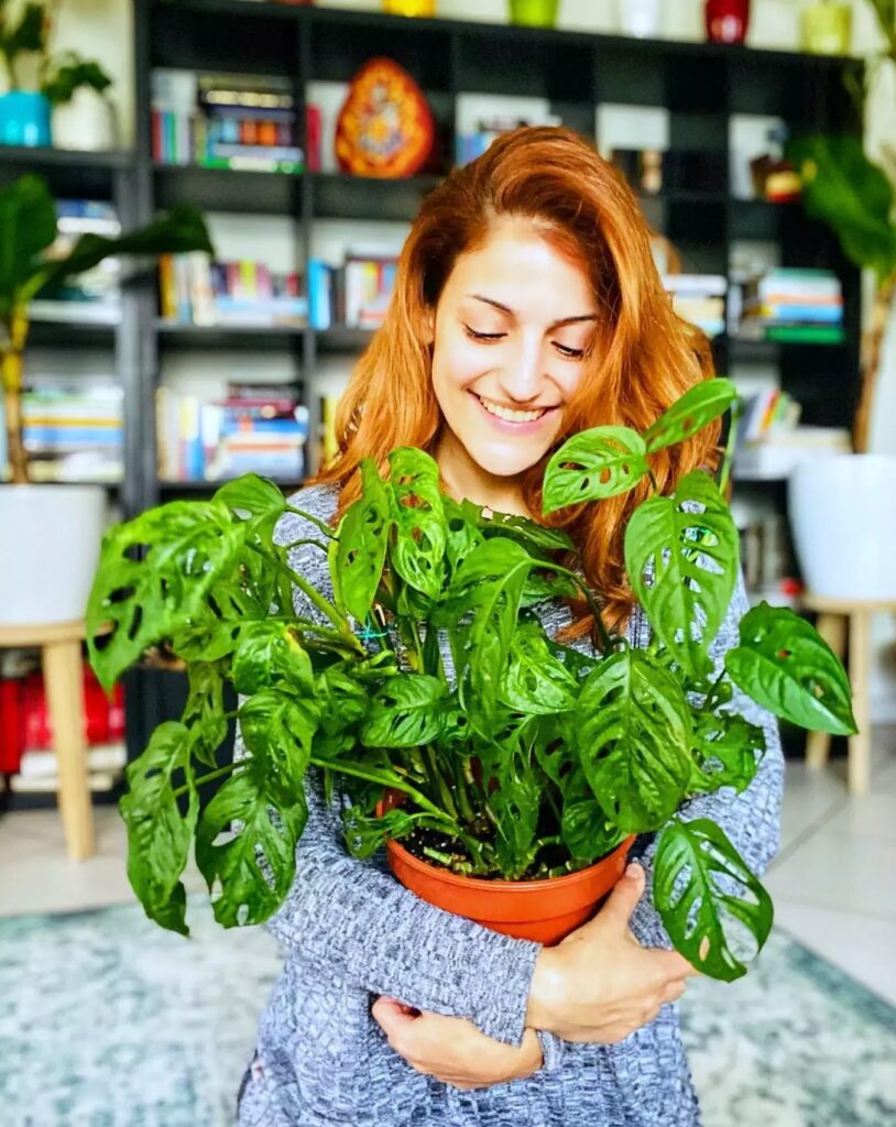 International Plant Appreciation Day