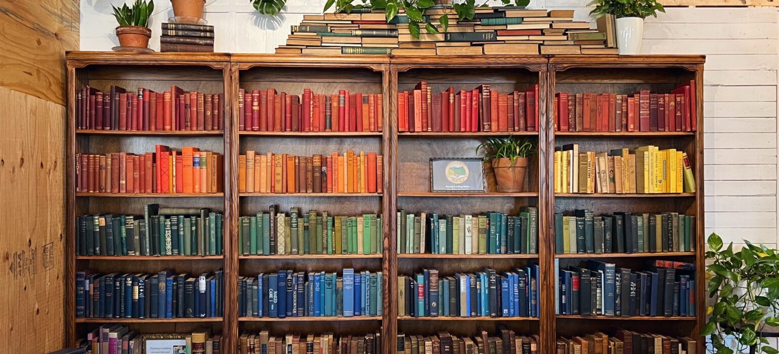 Save Your Bookshelves With These Organizations Tips
