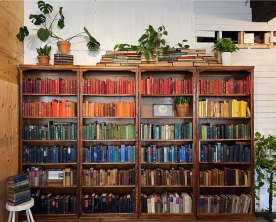 Save Your Bookshelves With These Organizations Tips