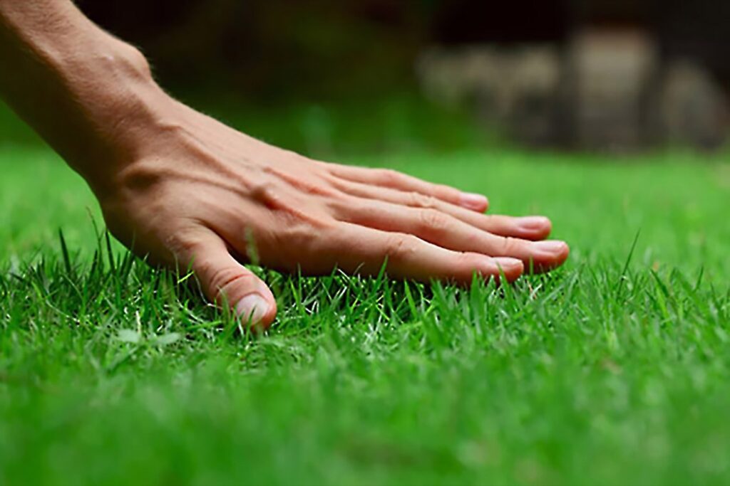 Start Lawn Care Landscaping Business