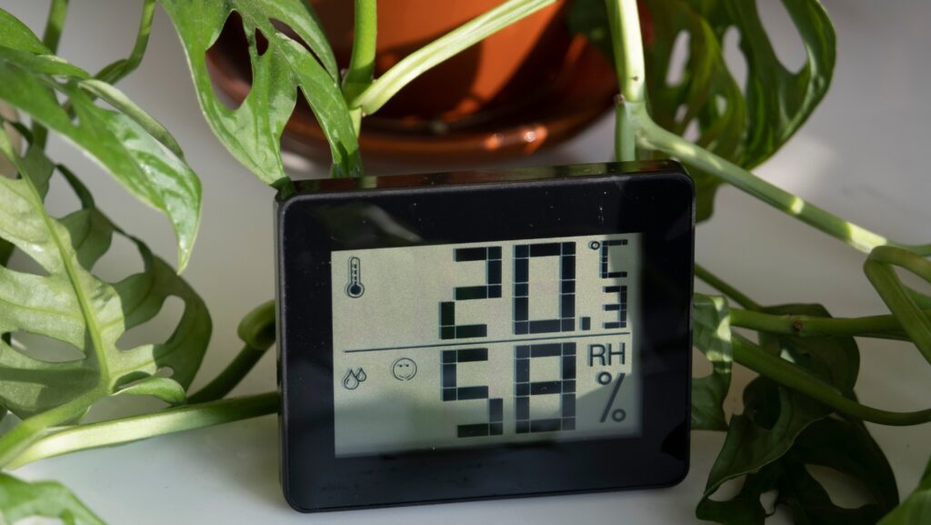 Untitled+design+ +2022 10 08t061054.665