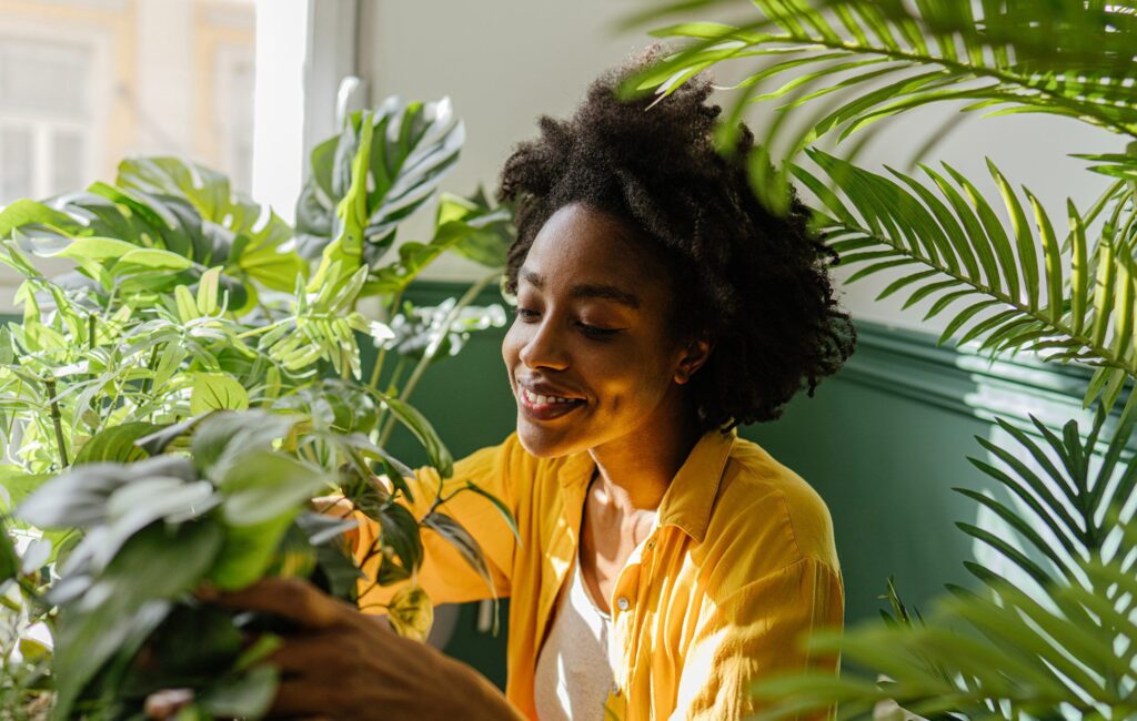 Woman Inspecting House Plants For Pests 2000 D11717c674284640a940194f966f29c6