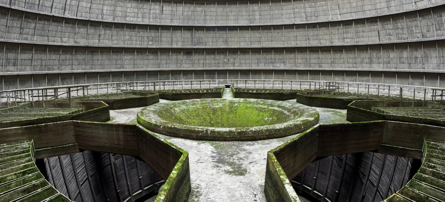 Pictures That Show Nature Fighting Back Against Development