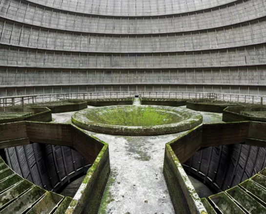 Pictures That Show Nature Fighting Back Against Development