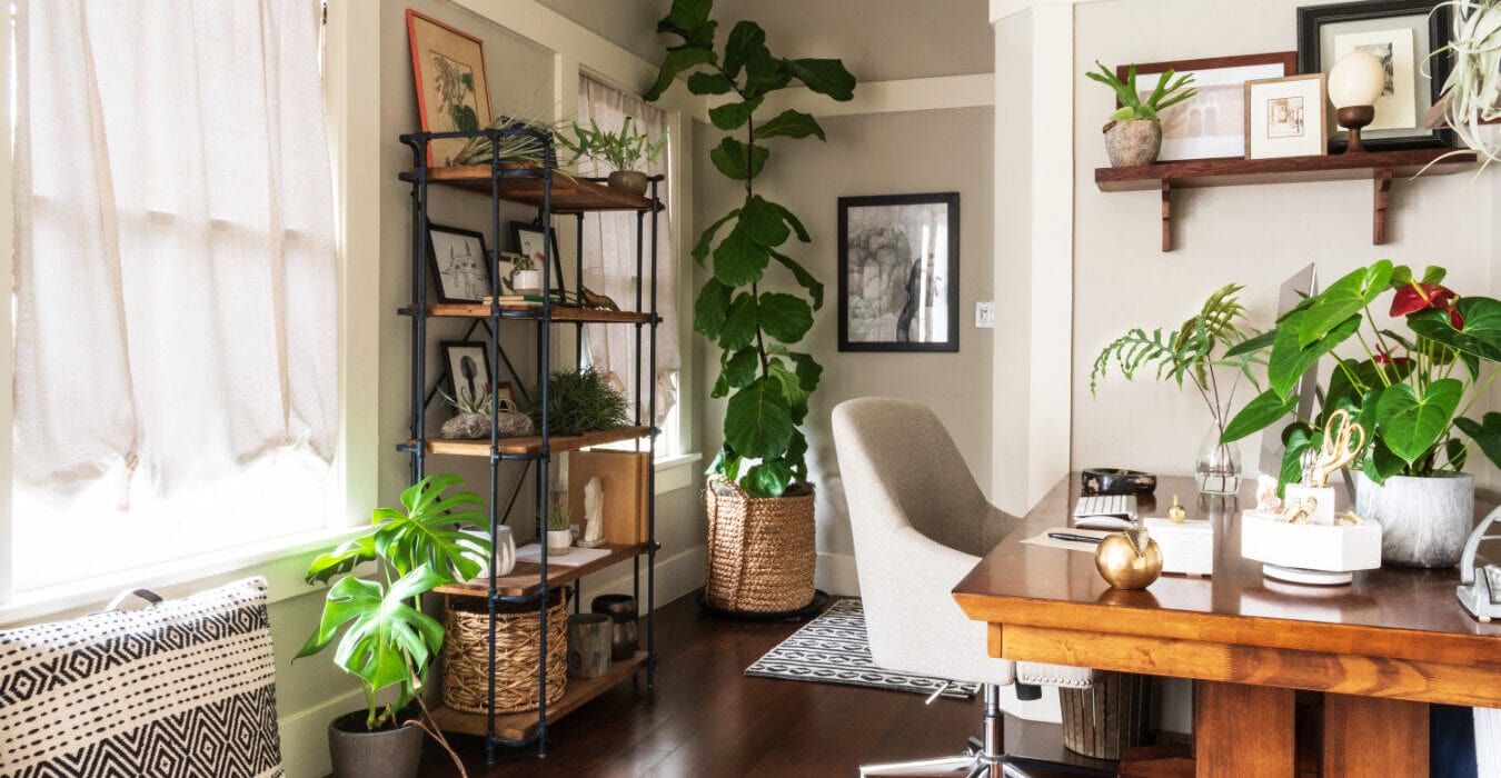 How To Use Feng Shui To Your Advantage