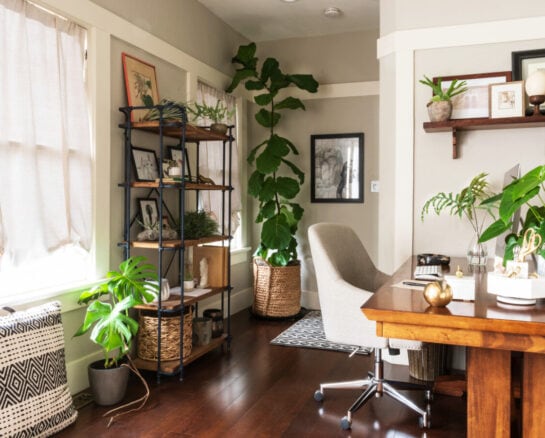 How To Use Feng Shui To Your Advantage